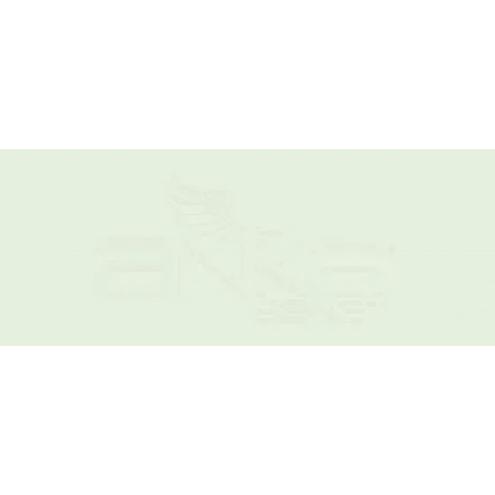 Copic Various Ink G40 Dim Green