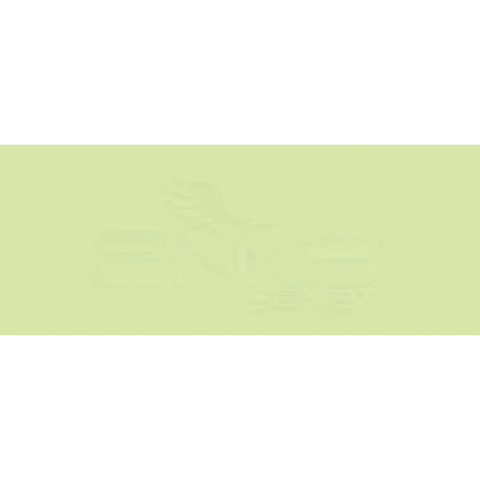 Copic Various Ink G43 Various Pistachio