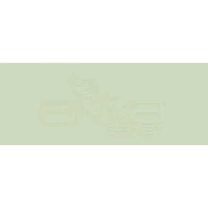 Copic Various Ink G82 Spring Dim Green