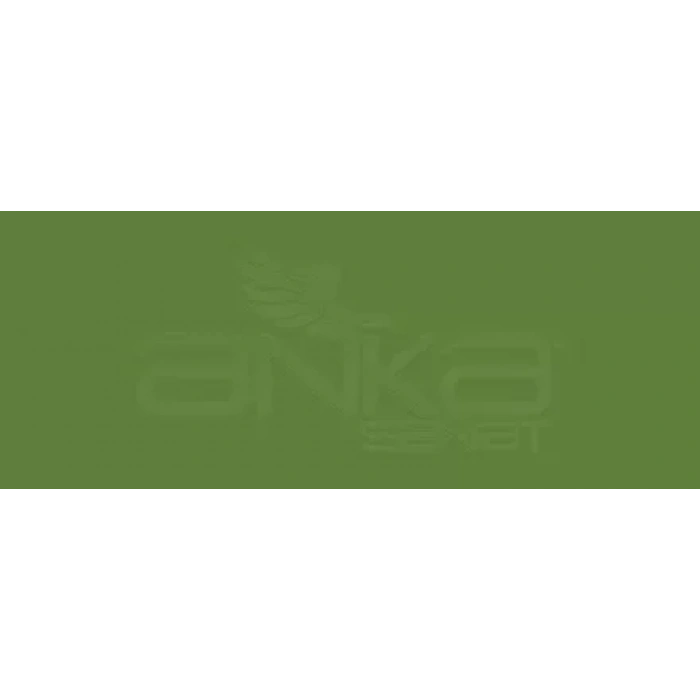 Copic Various Ink G99 Olive