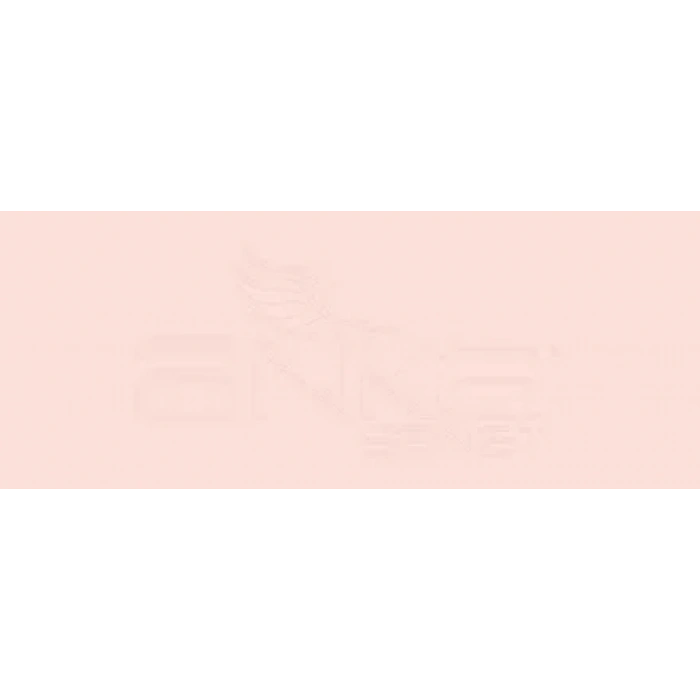 Copic Various Ink R01 Pinkish Vanilla