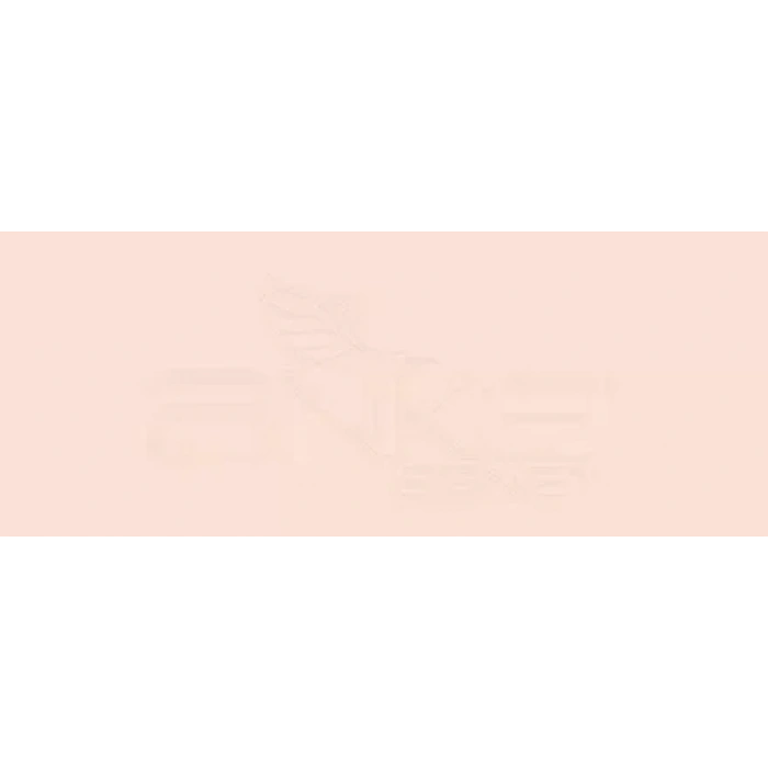 Copic Various Ink R11 Pale Cherry Pink