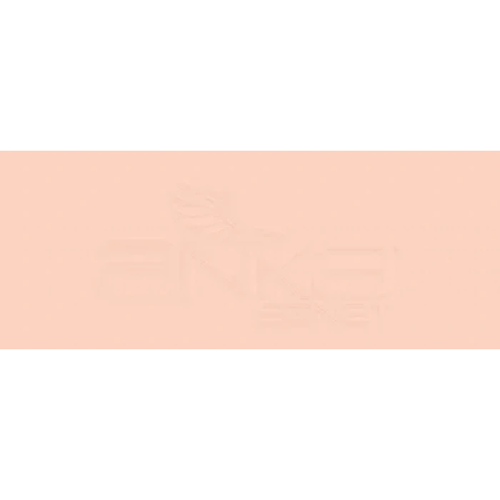 Copic Various Ink R12 Light Tea Rose