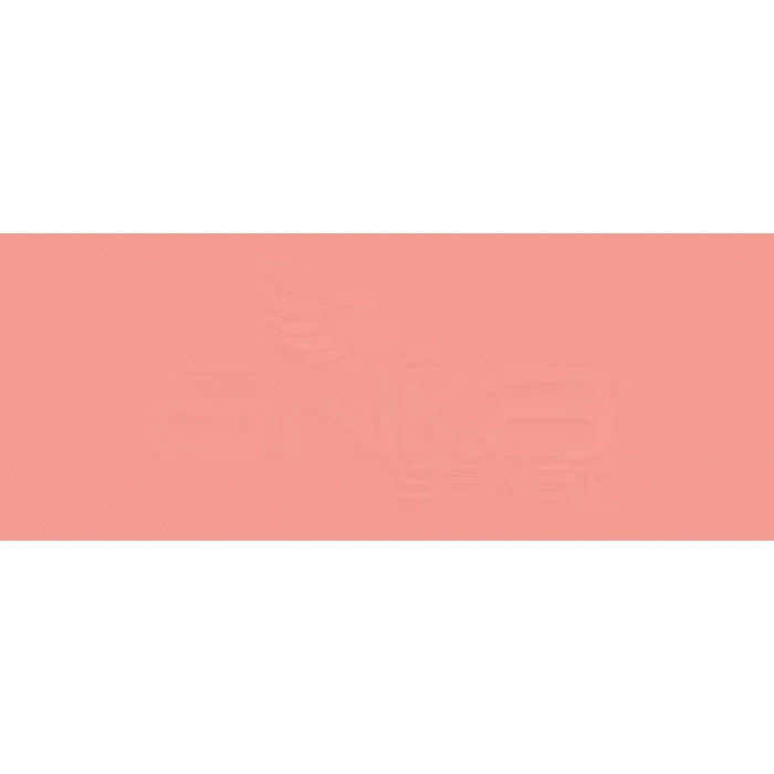 Copic Various Ink R14 Light Rouge