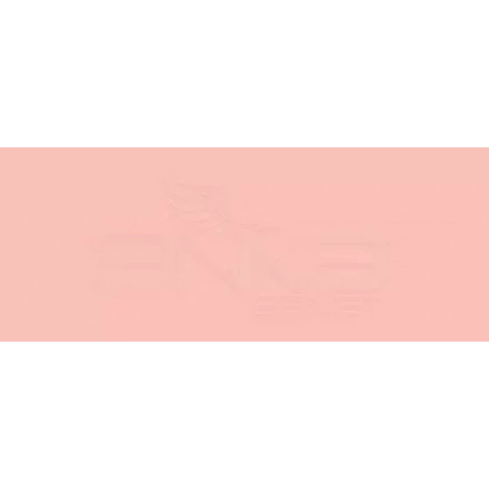 Copic Various Ink R21 Sardonyx