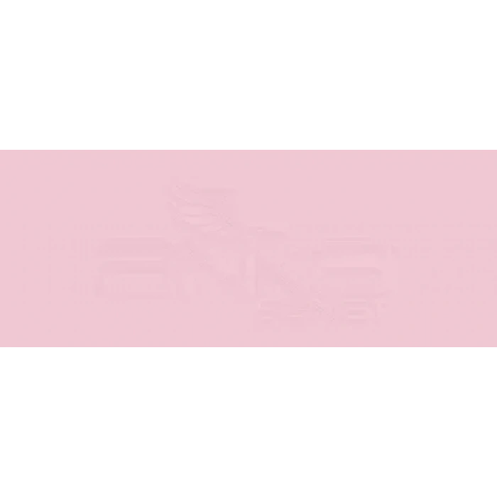 Copic Various Ink R81 Rose Pink