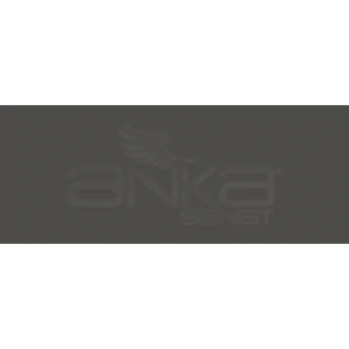 Copic Various Ink W-9 Warm Gray No.9