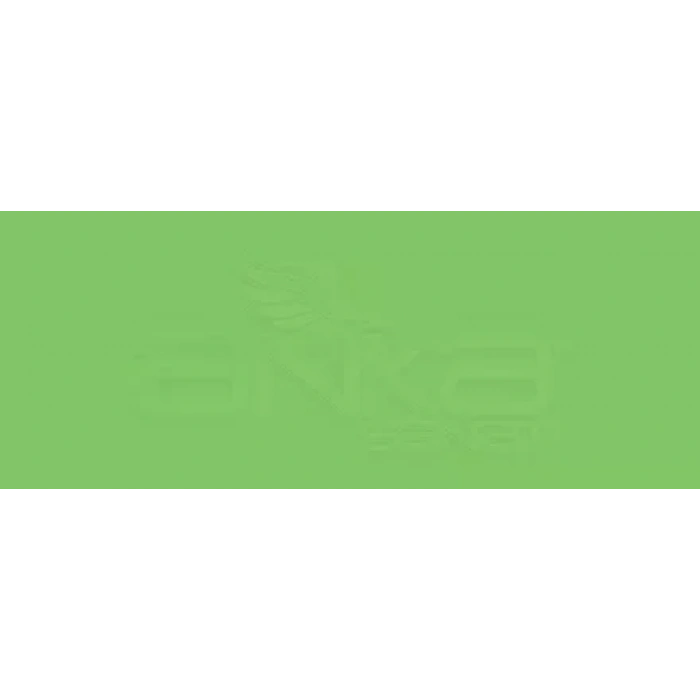 Copic Various Ink YG09 Lettuce Green