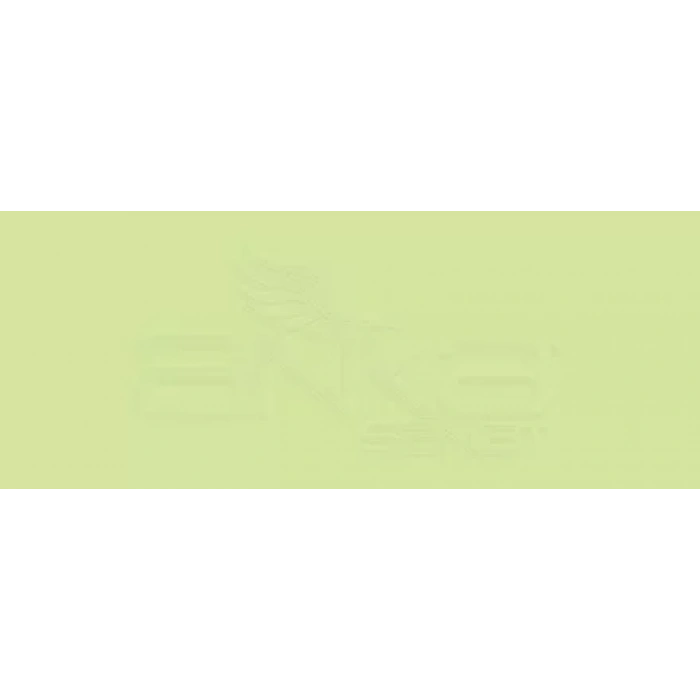 Copic Various Ink YG13 Chartreuse