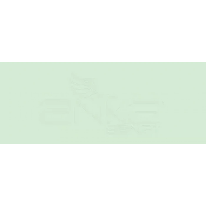 Copic Various Ink Yg41 Pale Cobalt Green