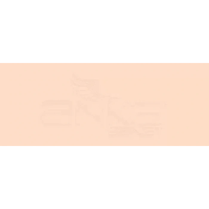 Copic Various Ink Yr02 Light Orange