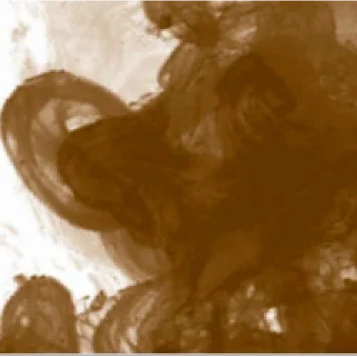 Daler Rowney FW Acrylic Artist Ink 180ml 251 Sepia