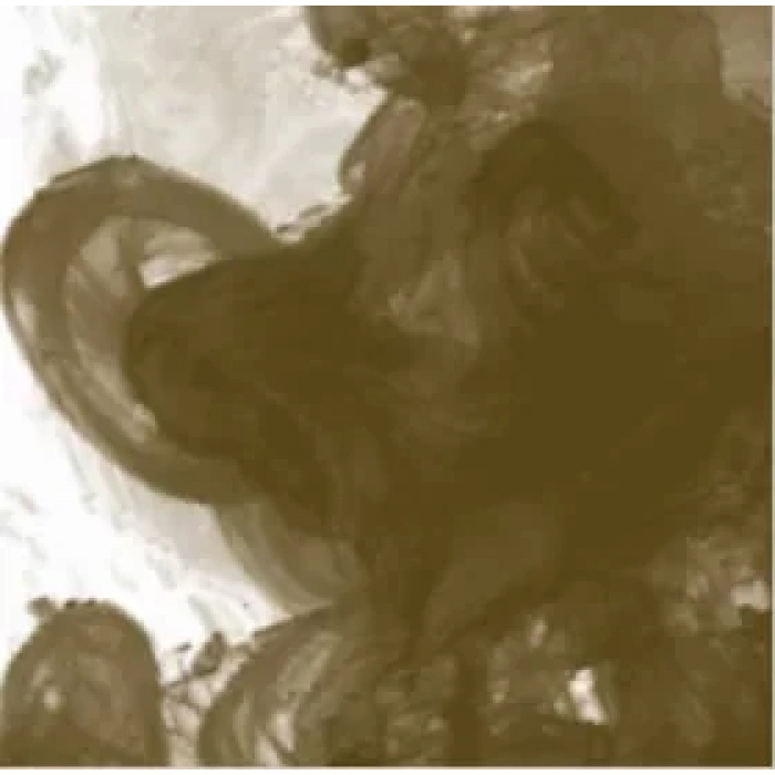 Daler Rowney Fw Acrylic Artist Ink 29.5ml Cam Şişe Antelope Brown 222