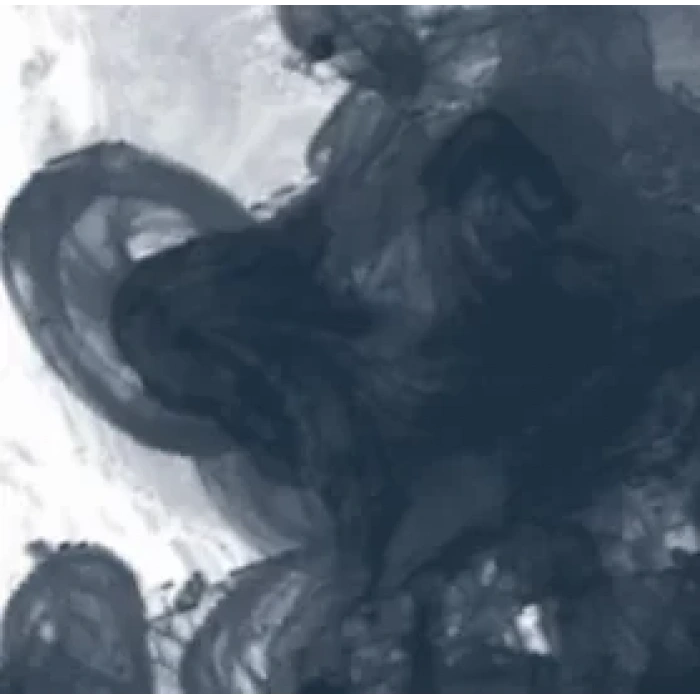 Daler Rowney FW Acrylic Artist Ink 29.5ml Cam Şişe Paynes Grey 065