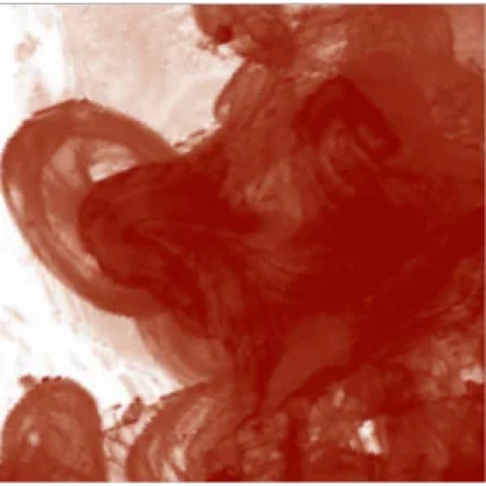 Daler Rowney Fw Acrylic Artist Ink 29.5ml Cam Şişe Red Earth 554