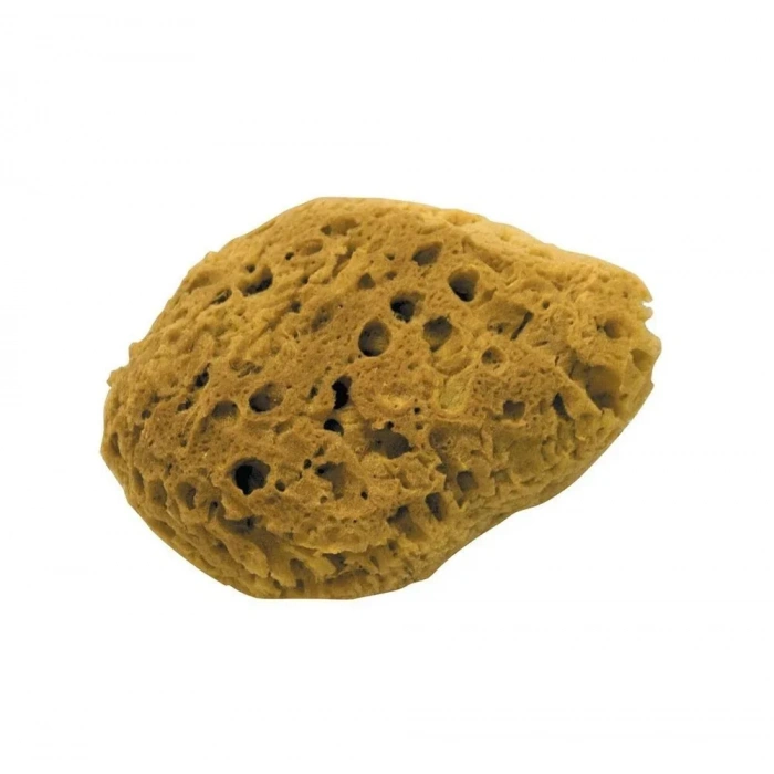 Dekor Rulo Doğal Deniz Süngeri 17 Cm