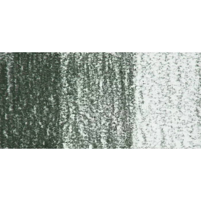 Derwent Tinted Charcoal Sulandırılabilen Renkli Füzen Kalem Tc14 Forest Pine