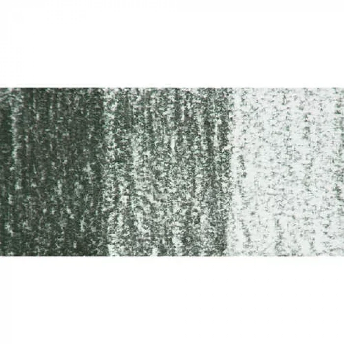 Derwent Tinted Charcoal Sulandırılabilen Renkli Füzen Kalem Tc14 Forest Pine
