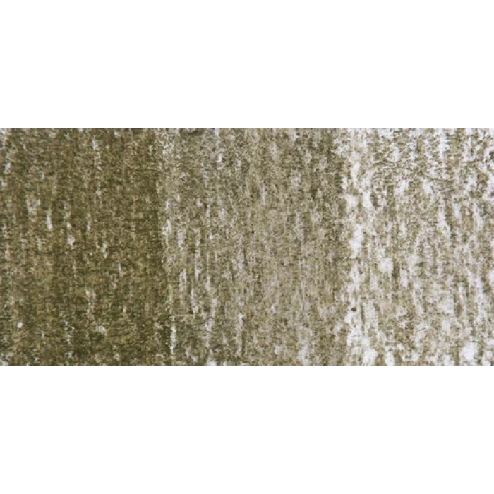 Derwent Tinted Charcoal Sulandırılabilen Renkli Füzen Kalem Tc15geen Moss