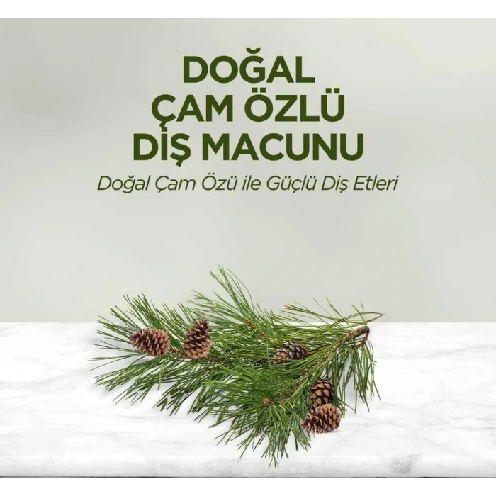 Doğal Çam Özlü Diş Macunu 90 ml