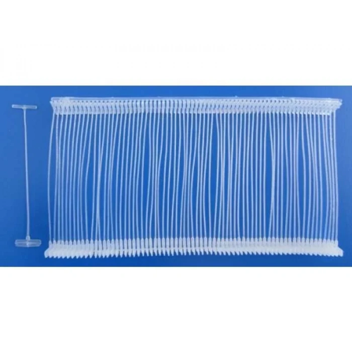 Dostlarımız Hayvanlar