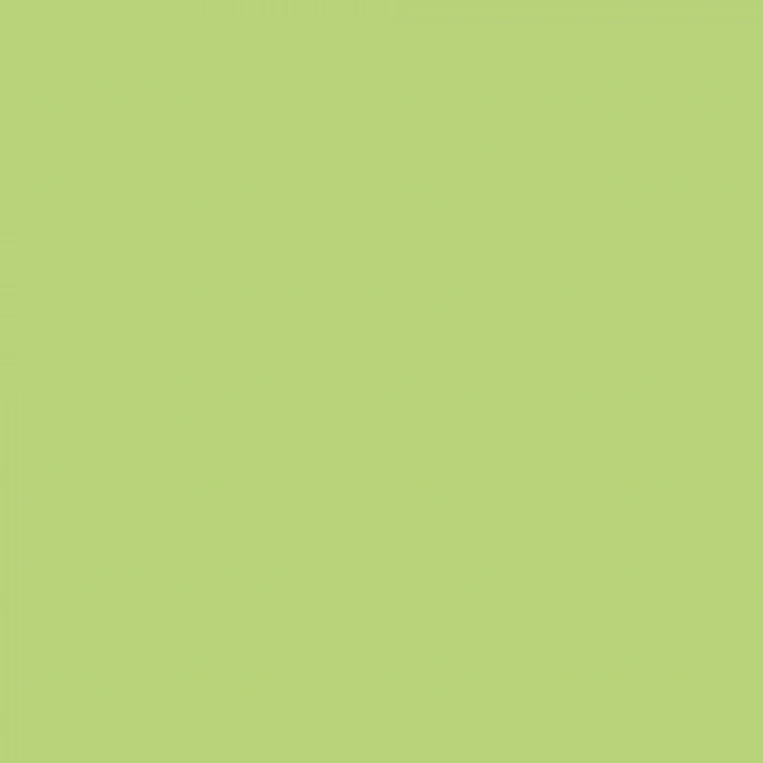 Edding Fırça Uçlu Porselen Kalemi 4200 1-4mm Light Green 11