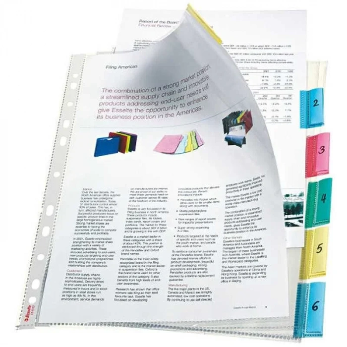 Esselte 414160 Ayraçlı Poşet Dosya (6 lı Poşet)