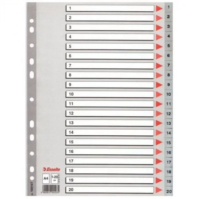 Esselte Seperatör 1-20 Rakamlı (ayraç)