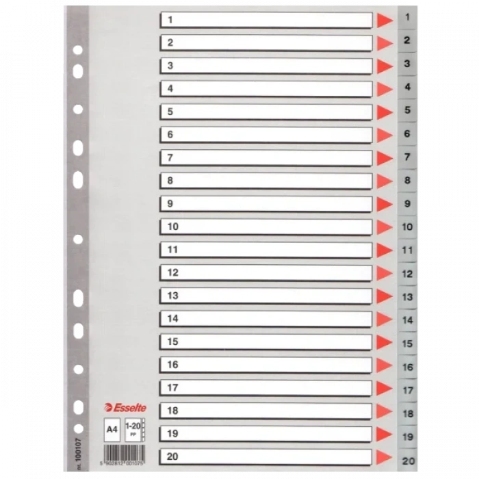 Esselte Seperatör 1-20 Rakamlı Plastik A4 100107