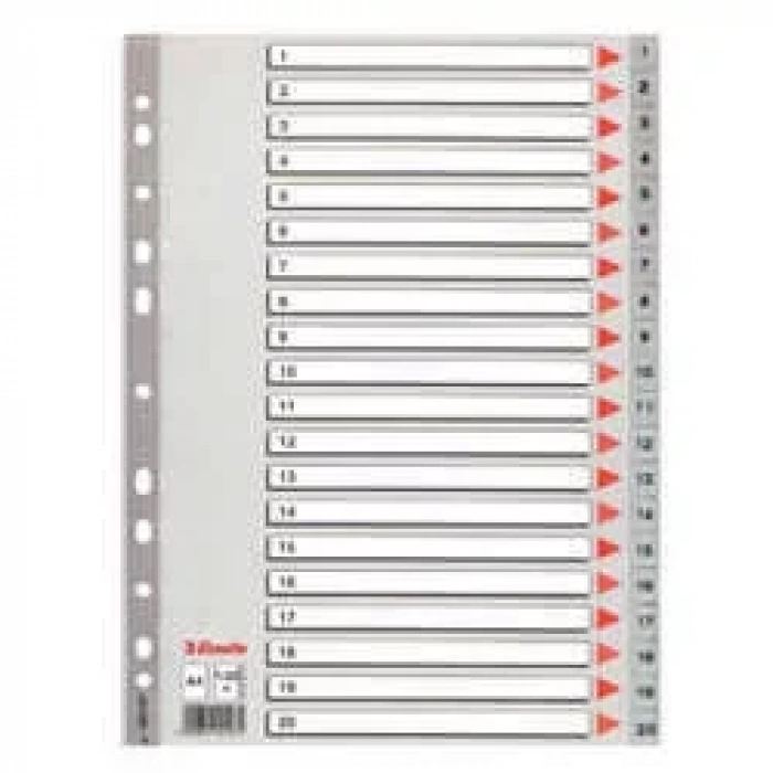 Esselte Seperatör A4 1-20 Rakam