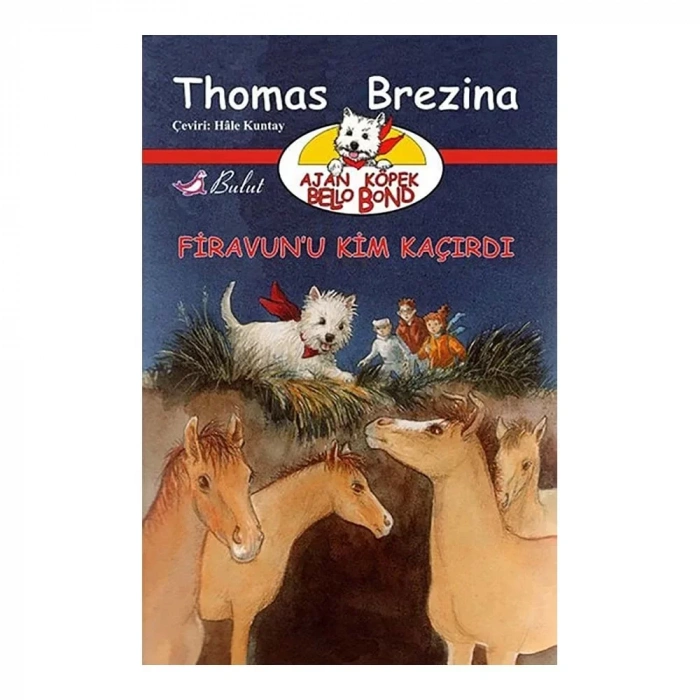 Firavun’u Kim Kaçırdı