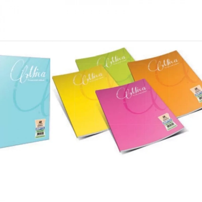 Gıpta Mica Plastik Kapak Defter A4 Çizgili 100 Yaprak (2488)