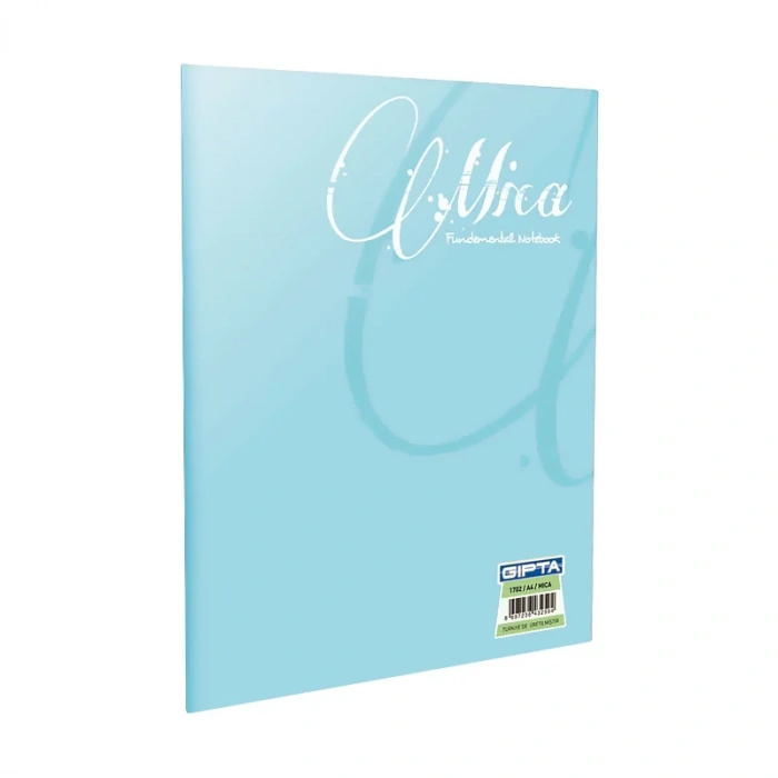 GIPTA MİCA PLASTİK KAPAK DEFTER A4 KARELİ 60 YAPRAK (1705)