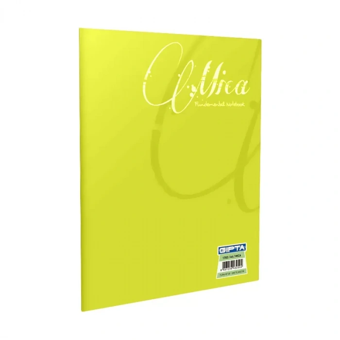 GIPTA MİCA PLASTİK KAPAK DEFTER A5 KARELİ 80 YAPRAK (2055)