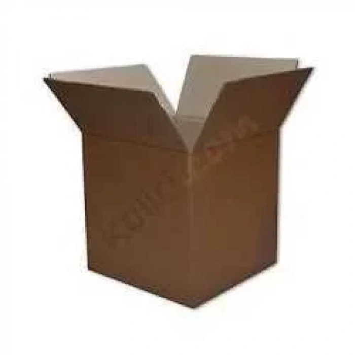 Görünmez Adam  322076