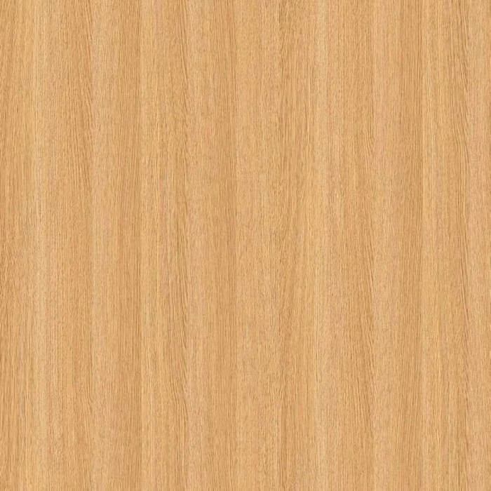 Hafıza Koleksiyoncusu