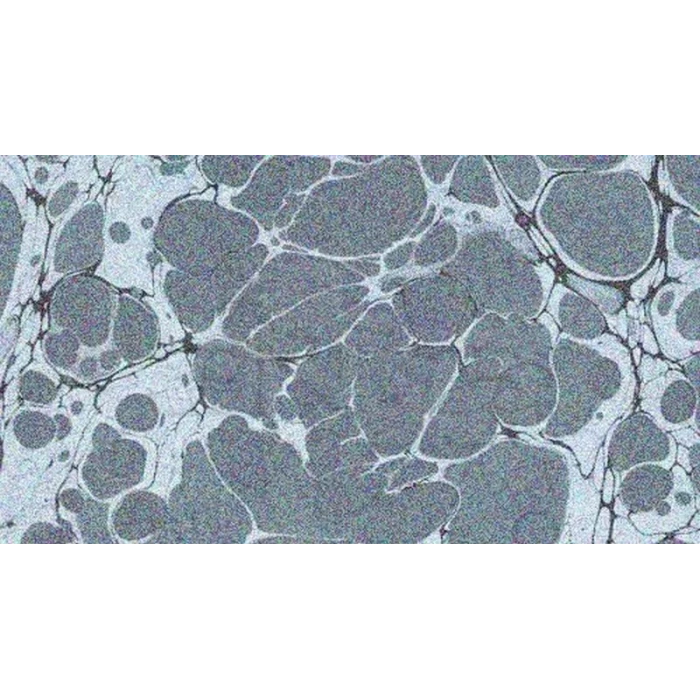 Karin Ebru Boyası Ezilmiş 808 Gümüş 105cc