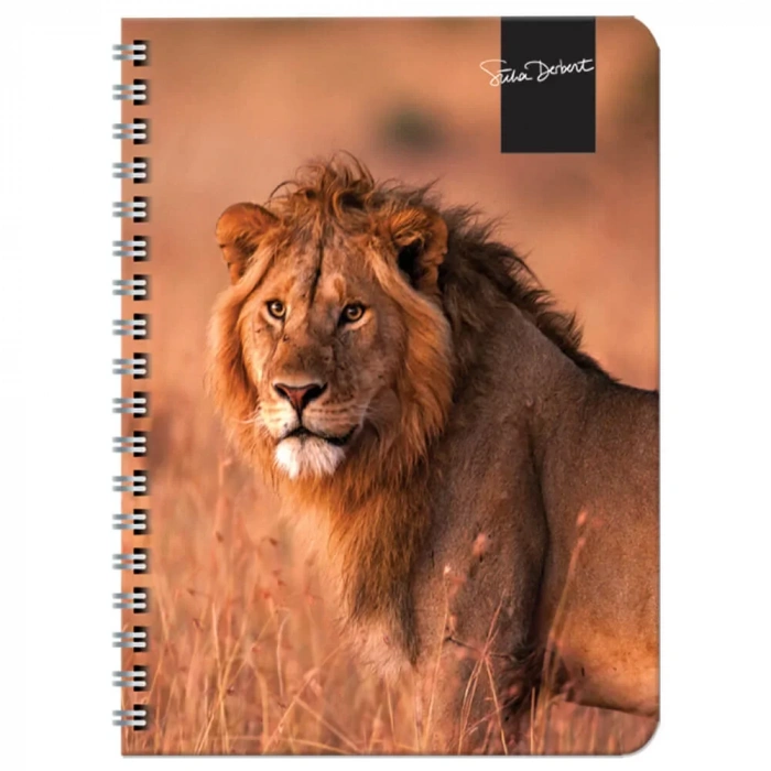 Keskin Color Süha Derbent Çizgili Defter 17x24 Cm 120 Yaprak 326811-99