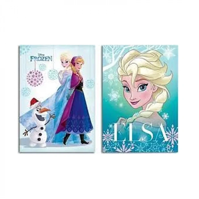 Keskin Frozen Plastik Kapak Defter A4 Kareli 40 Yaprak (322502)