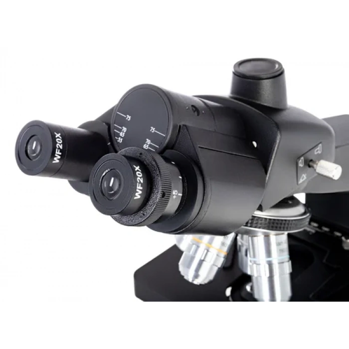 Levenhuk D870T 8 M Dijital Trinoküler Mikroskop