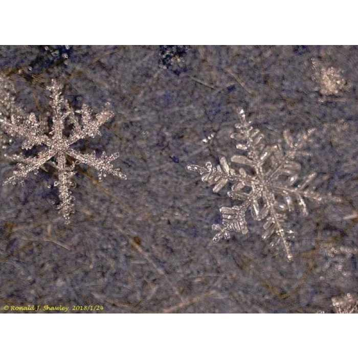 Levenhuk DTX 500 LCD Dijital Mikroskop