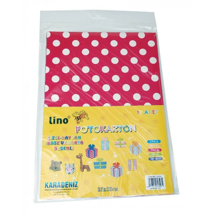 LINO 2701J FOTOKARTON DESENLİ 10 LU 24x34 cm