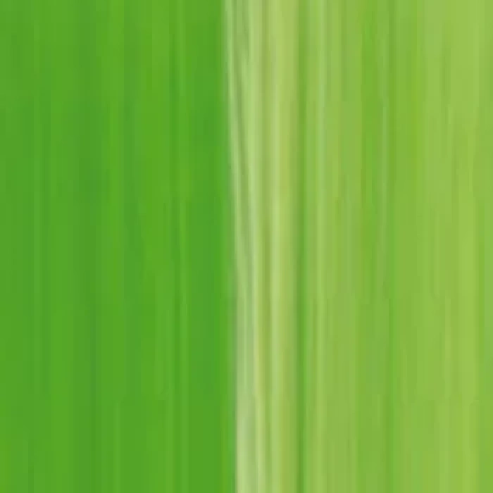 Lukas Cyrl Studio Akrilik Boya 75ml Chrom Yesil Acik