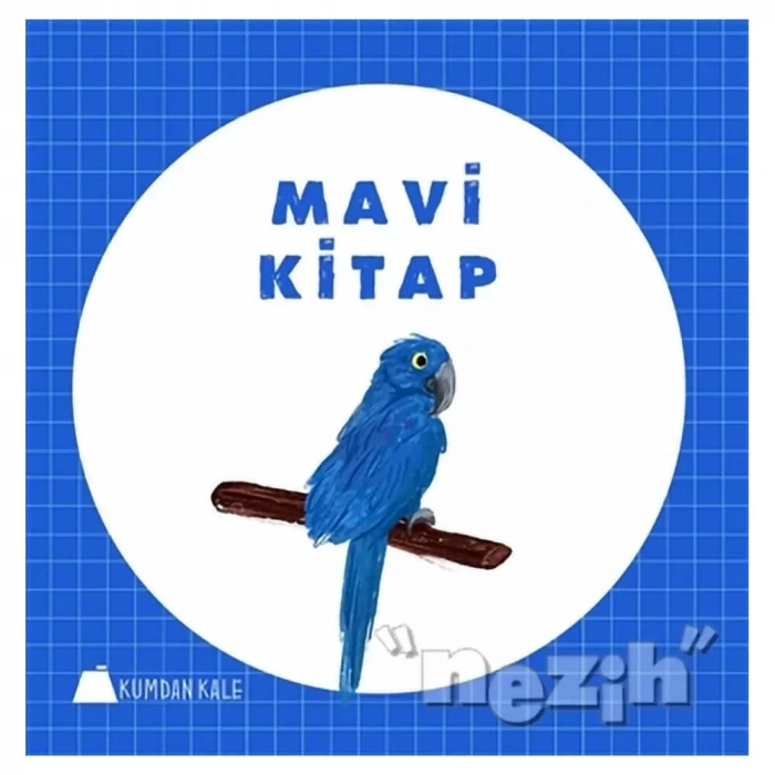 Mavi Kitap  310529