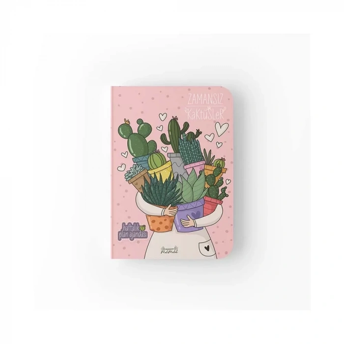 Melimelek Kaktüs Zamansız Sukulent 15x21,5