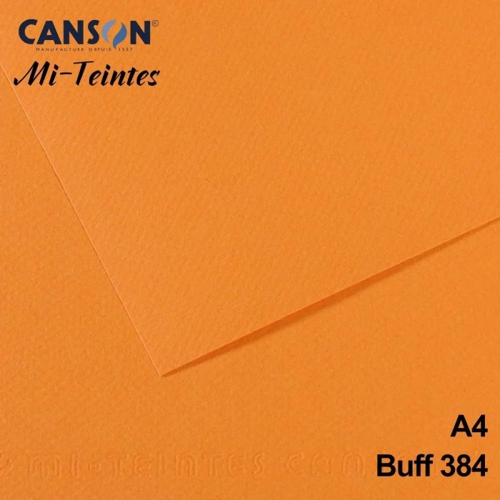 Mi-Teintes 160gr A4 384 Salmon 3lü