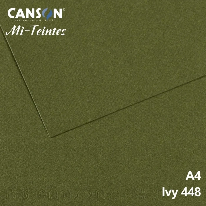 Mi-Teintes 160gr A4 448 Sea Green 3lü