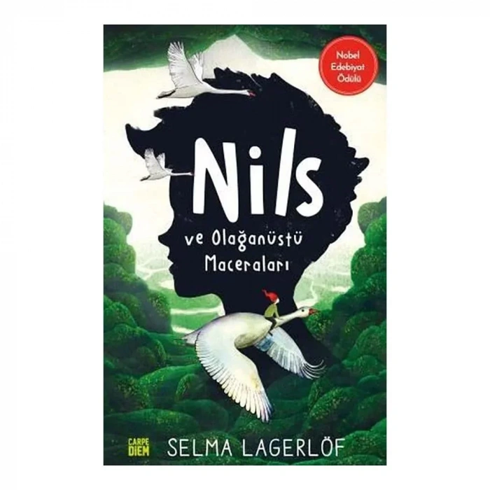 Nils Ve Olağanüstü Maceraları