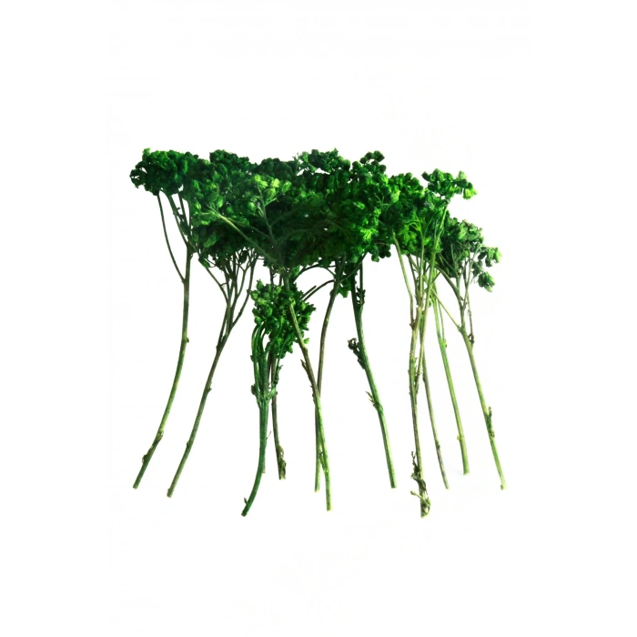 Odak Hobi Poşet Ağaç Koyu Yeşil