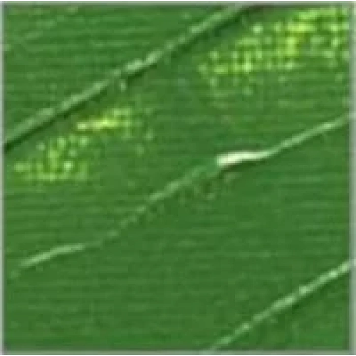 Pebeo Studio Akrilik Boya 500ml No:61 Green Earth